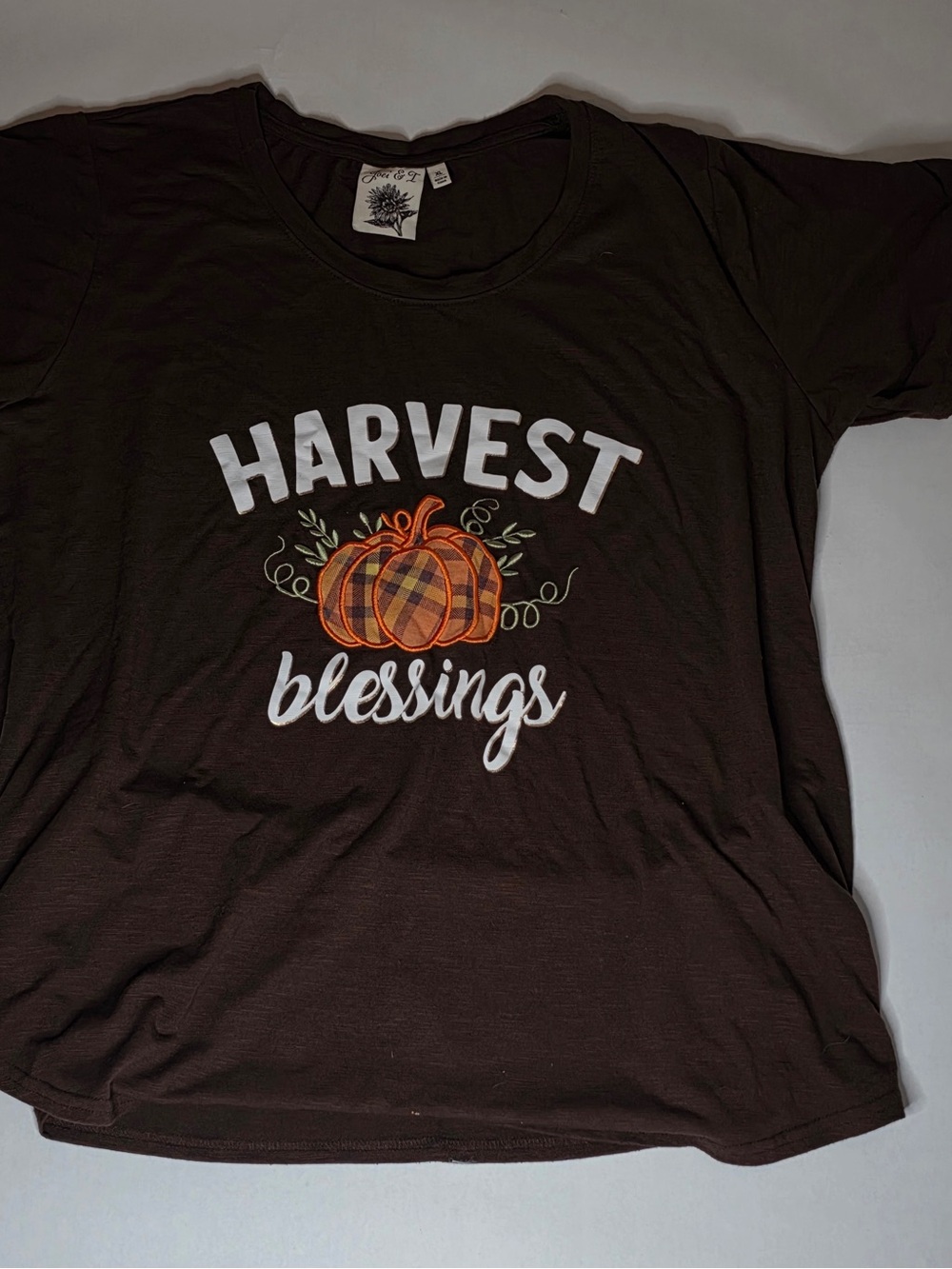 Harvest Blessings Graphic Tee - Brown Pumpkin Short Sleeve